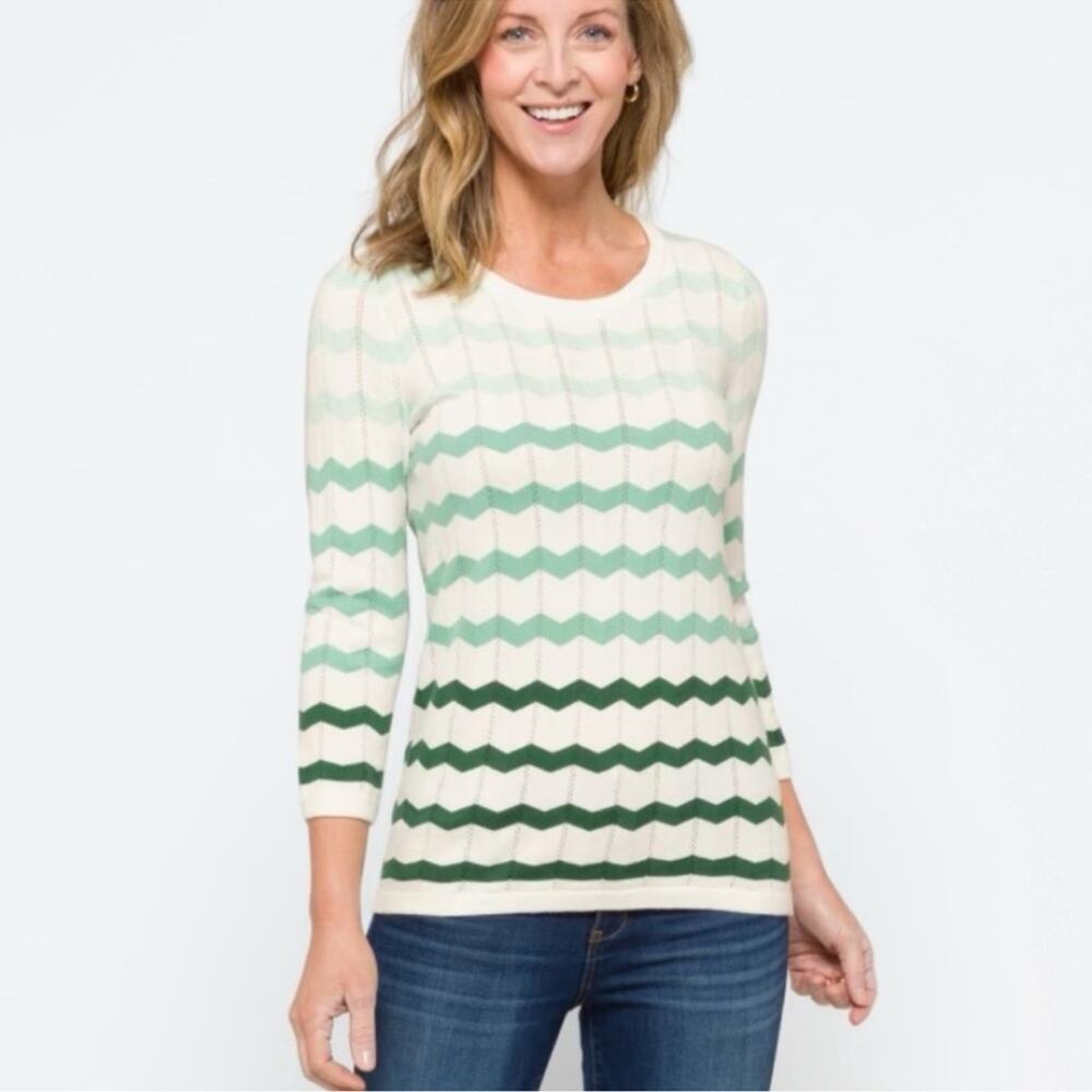 41 Hawthorn Womens XS Irene Pointelle Chevron Striped Sweater in White Green